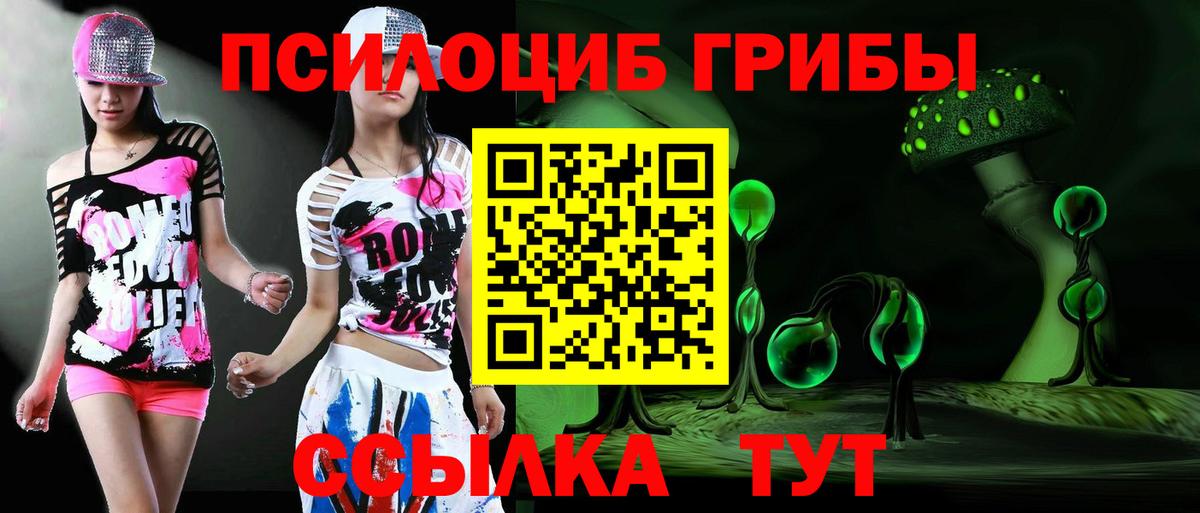 Галлюциногенные грибы ЛСД  Галлюциногенные грибы мухоморы  где купить наркоту  Рассказово  Вход с VPN 
